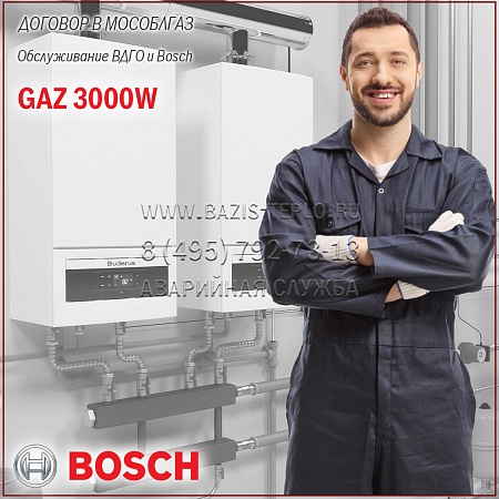 Договор обслуживание ВДГО и Bosch Gaz 3000W, 2 обслуживания